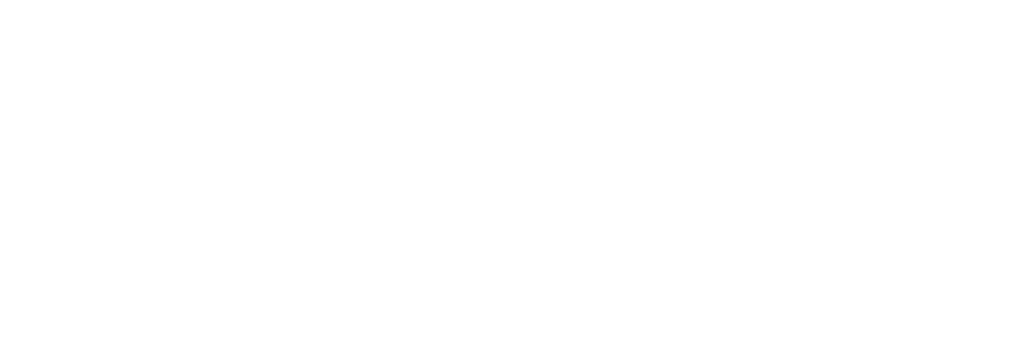 wulfden professional solutions graphic design client
