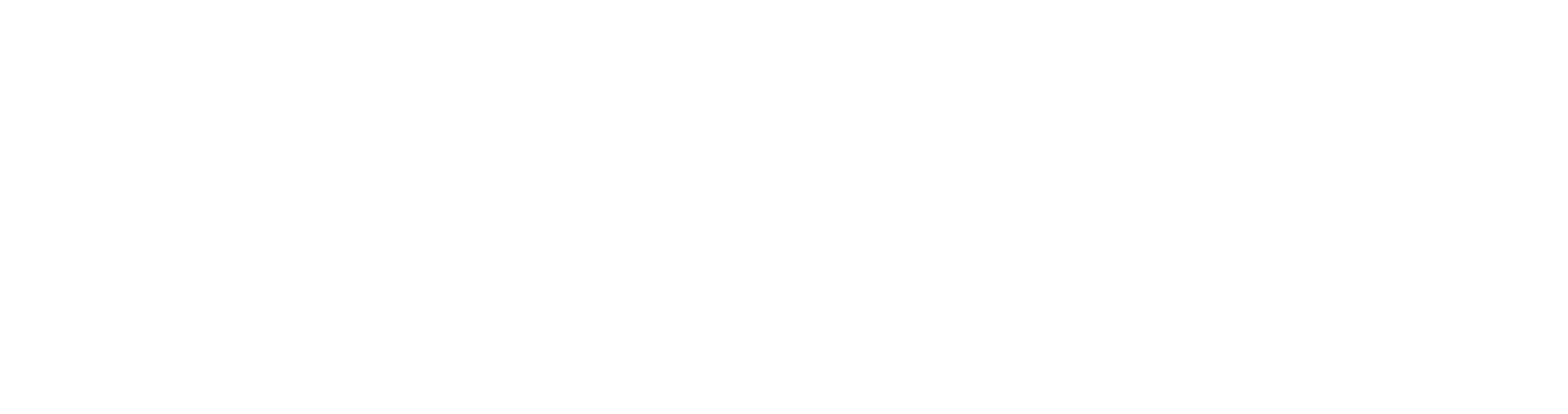 Virtual Expert